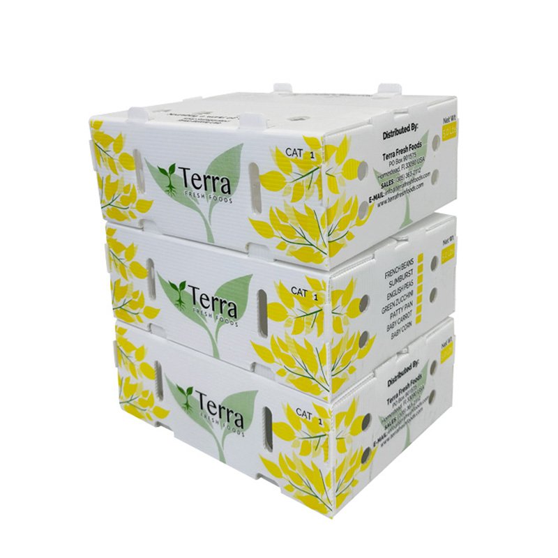 Plastic Corrugated Boxes