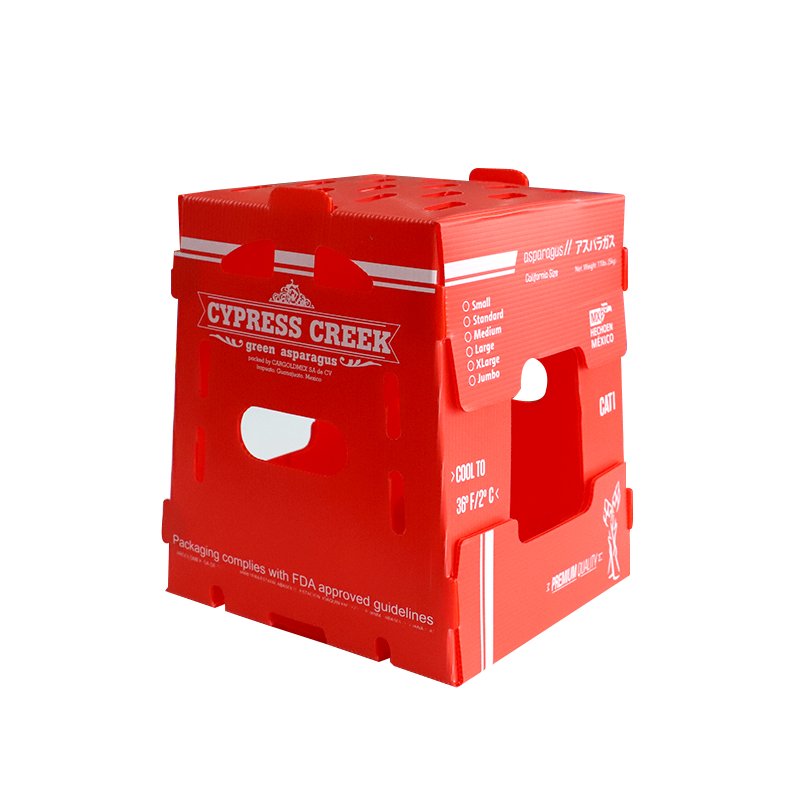 Plastic Corrugated Boxes