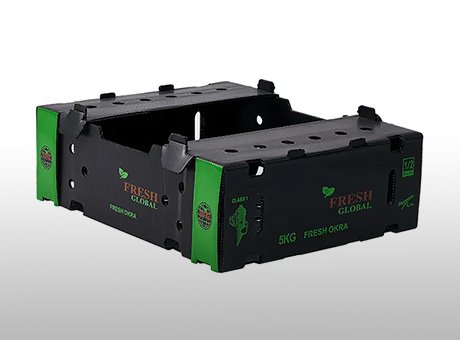 Plastic Corrugated Box