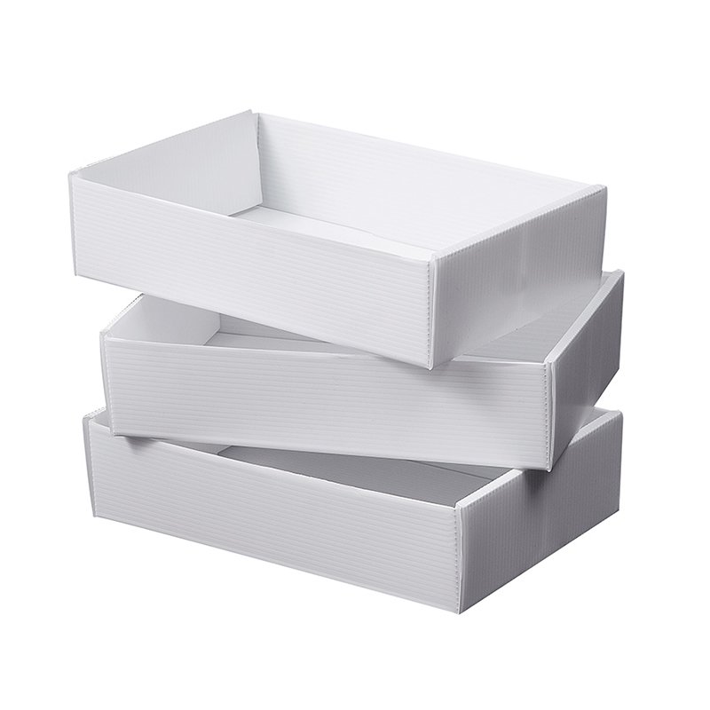 Plastic Container For Frozen Food
