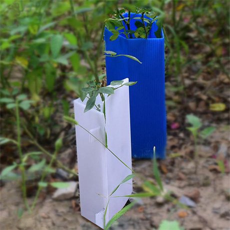 Plastic Tree Guards