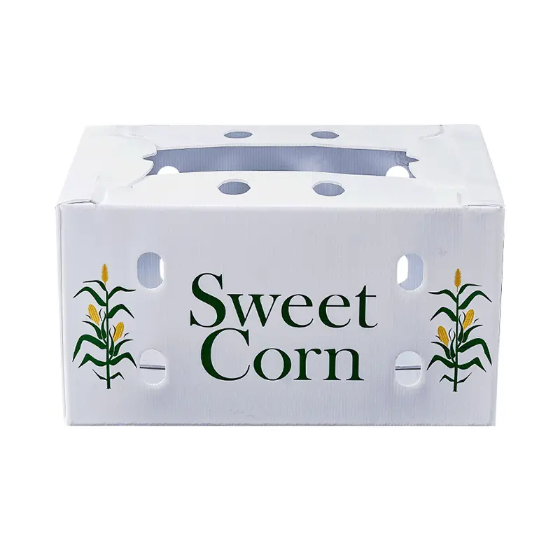 Collapsible Corrugated Plastic Box
