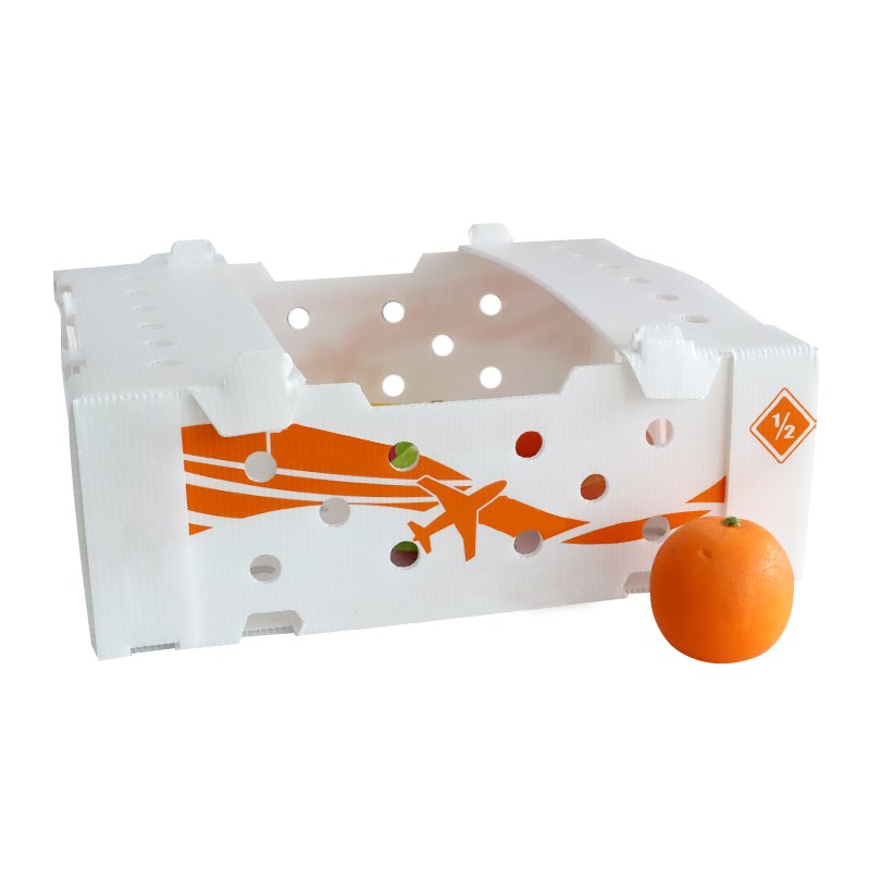 Custom corrugated plastic boxes for fruits