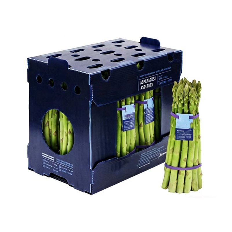 Agricultural & Food Plastic Corrugated Boxes