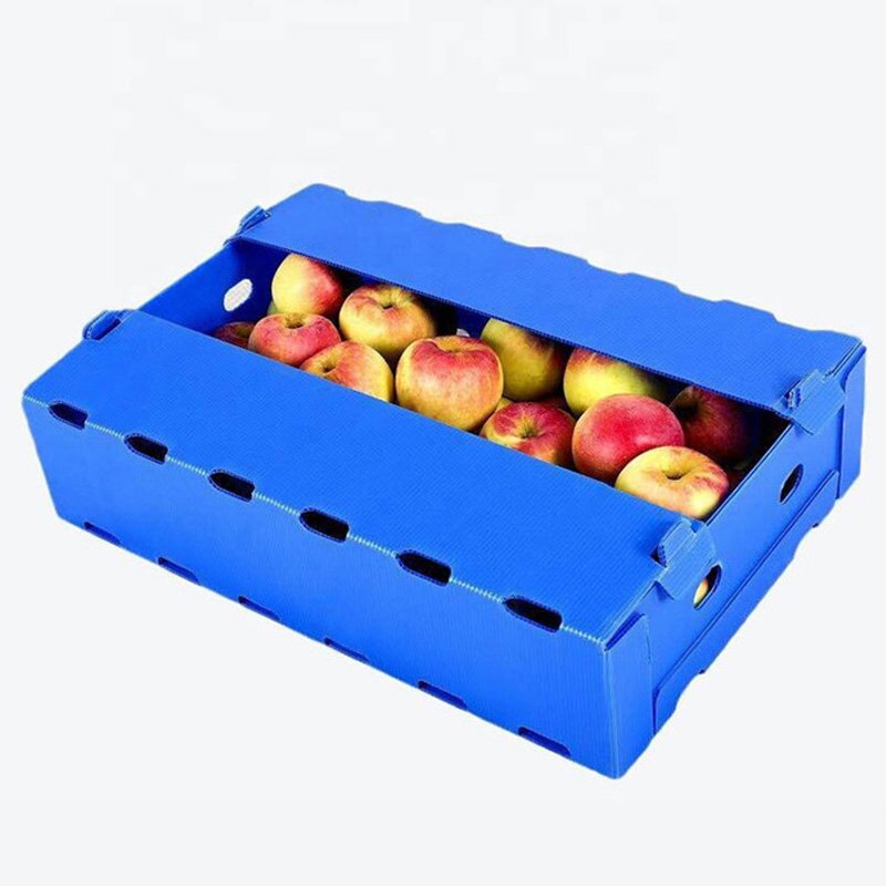 Collapsible Corrugated Plastic Box