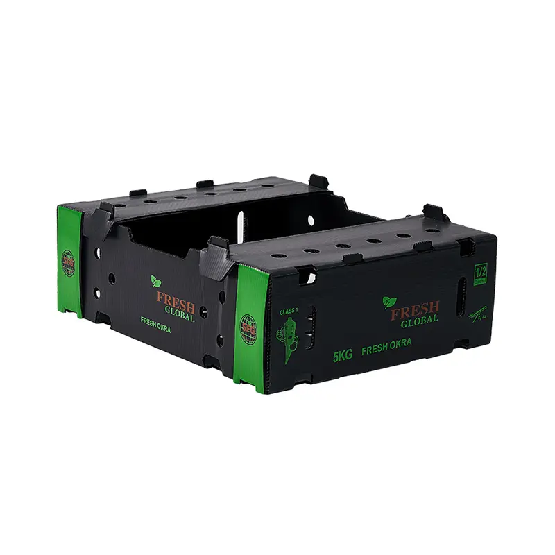 Custom Corrugated Plastic Box