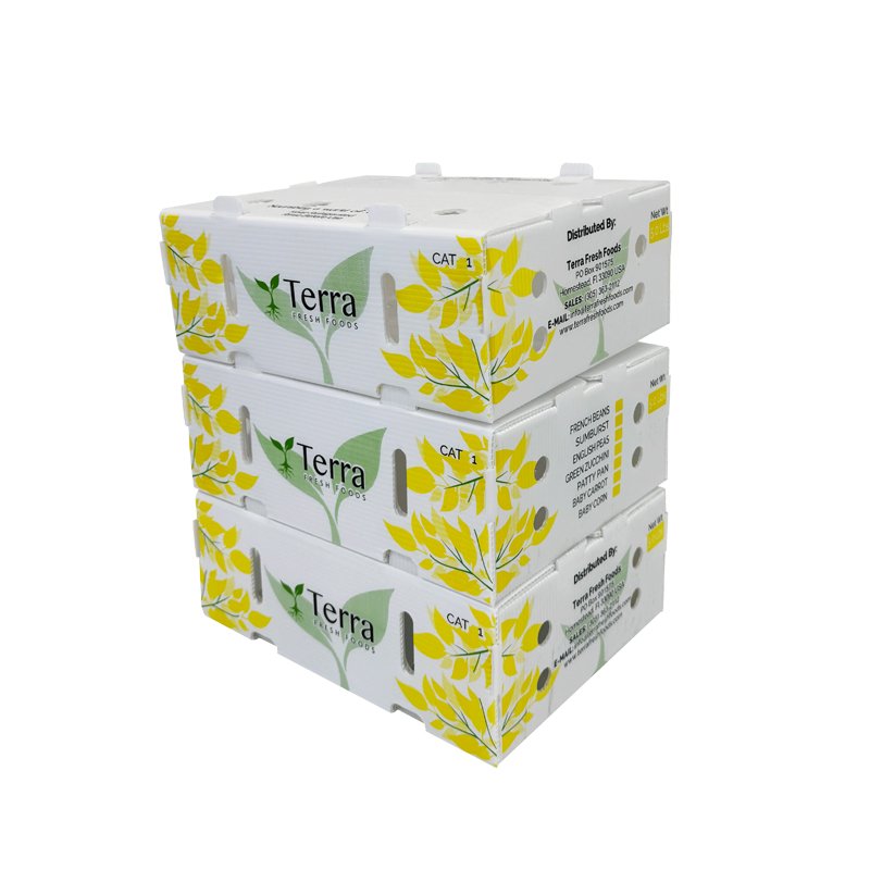 Food-grade corrugated plastic shipping boxes for foodsvegetables