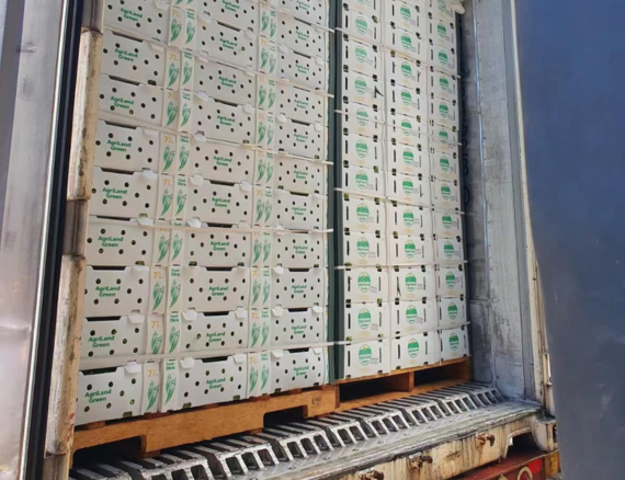 2-Wooden Pallets