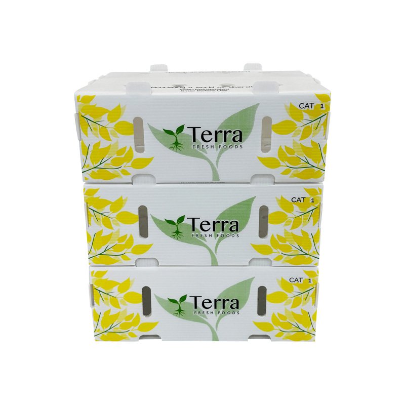 Stackable lid corrugated plastic boxes