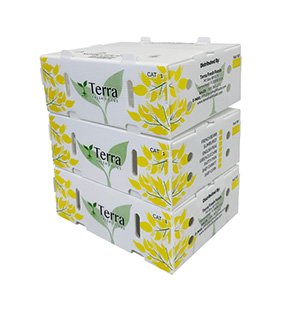 Plastic Corrugated Box