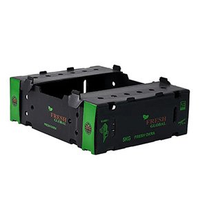 Custom Corrugated Plastic Box