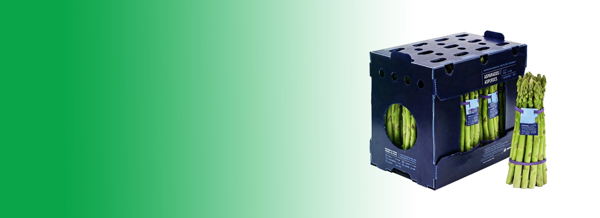 The Ultimate Corrugated Plastic Shipping Boxes -Strong, Light, Waterproof