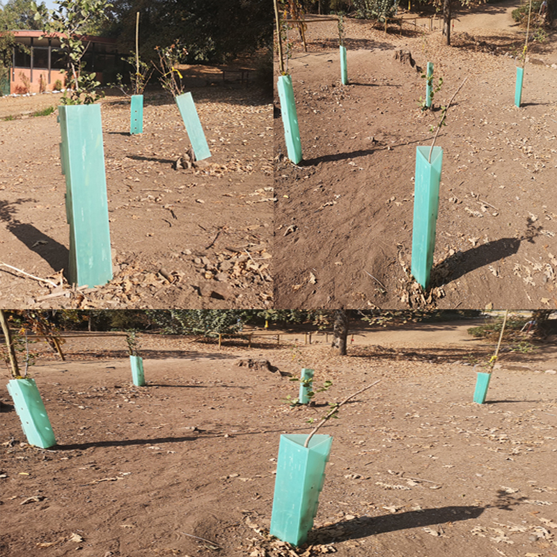 Corrugated Plastic Tree Guards
