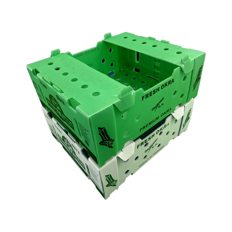 PP Corrugated Box for Okra