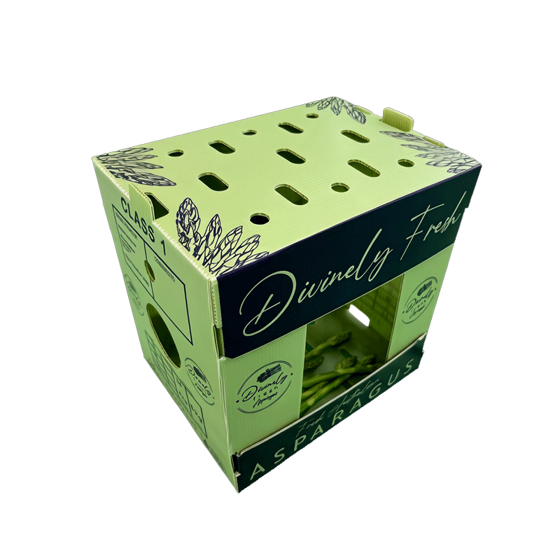 Green Corrugated Plastic Sheets for Vegetable Box