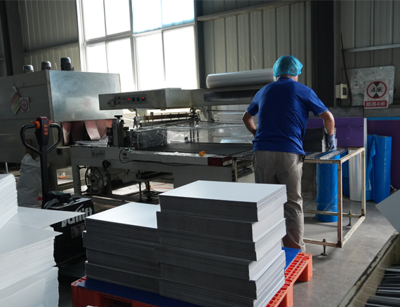 Automated-thermoplastic-shrink-wrapping-technology
