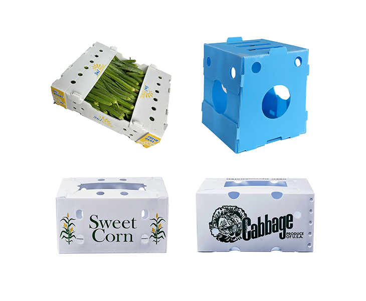 corrugated-1-plastic-packaging-box-for-vegetables