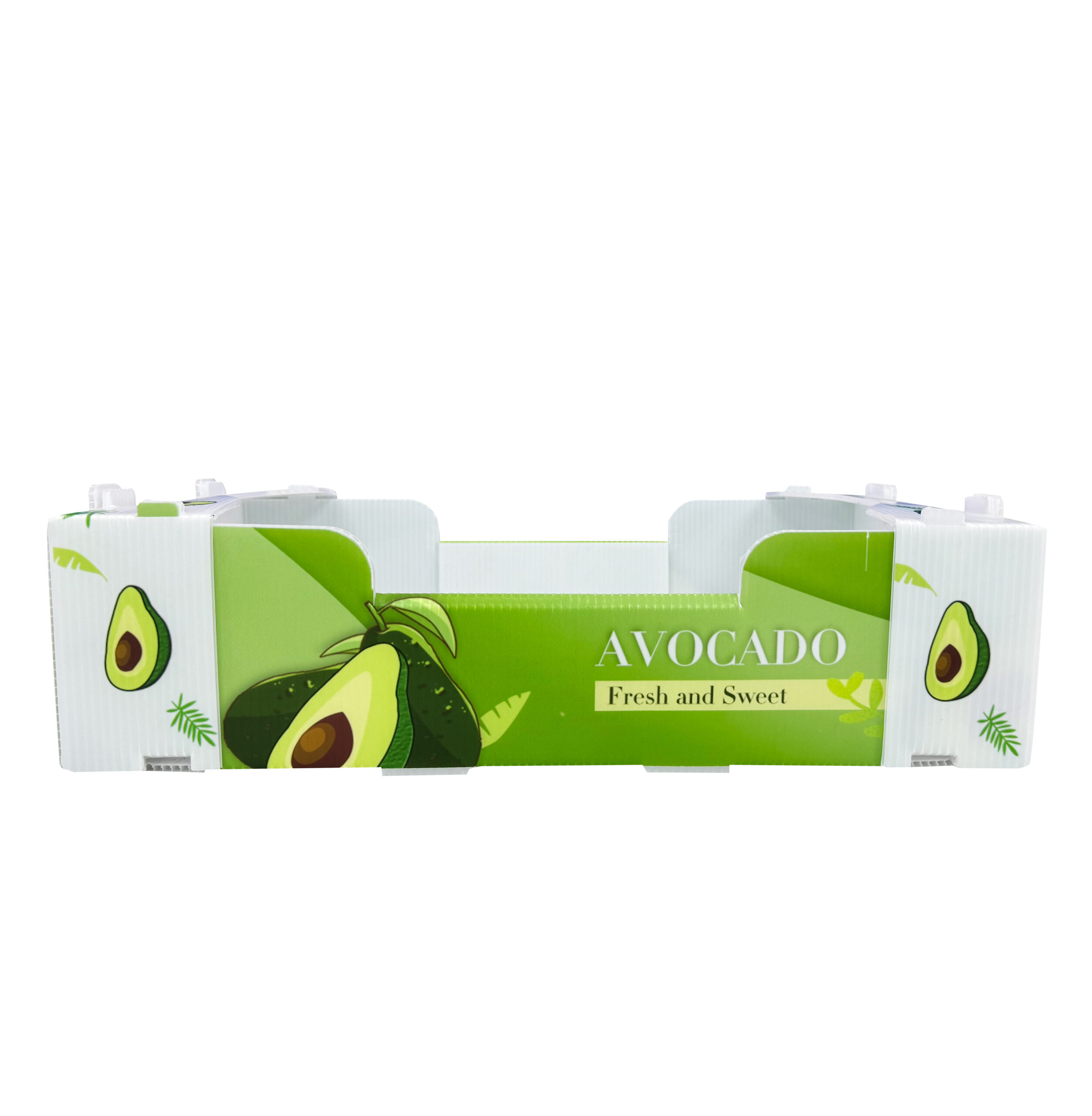 Corrugated Plastic Packaging Box