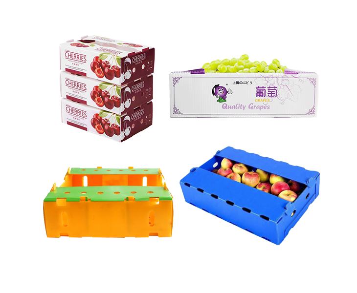 corrugated-plastic-packaging-box-for-fruits