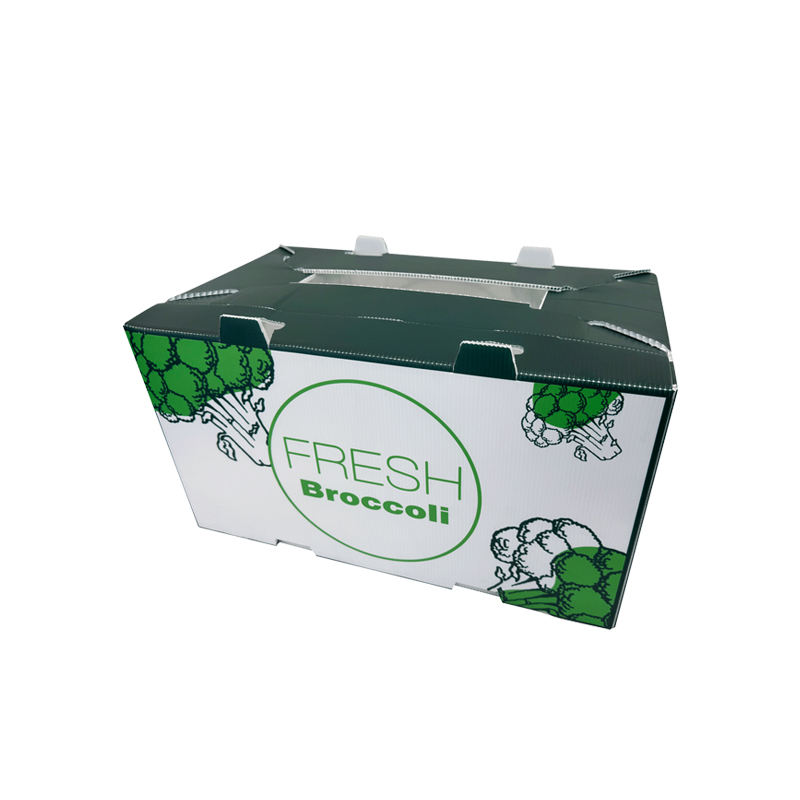 Corrugated Plastic Packaging Box