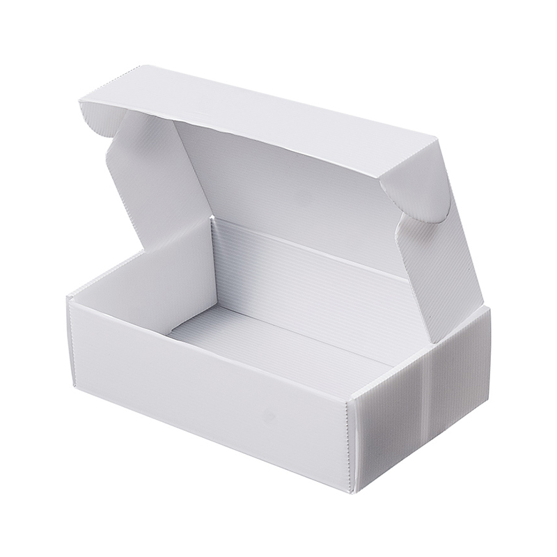 Corrugated Plastic Packing Box for Frozen Meat