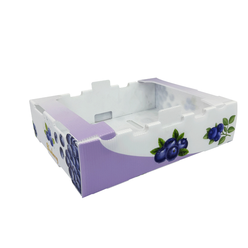 Corrugated Plastic Packaging Box