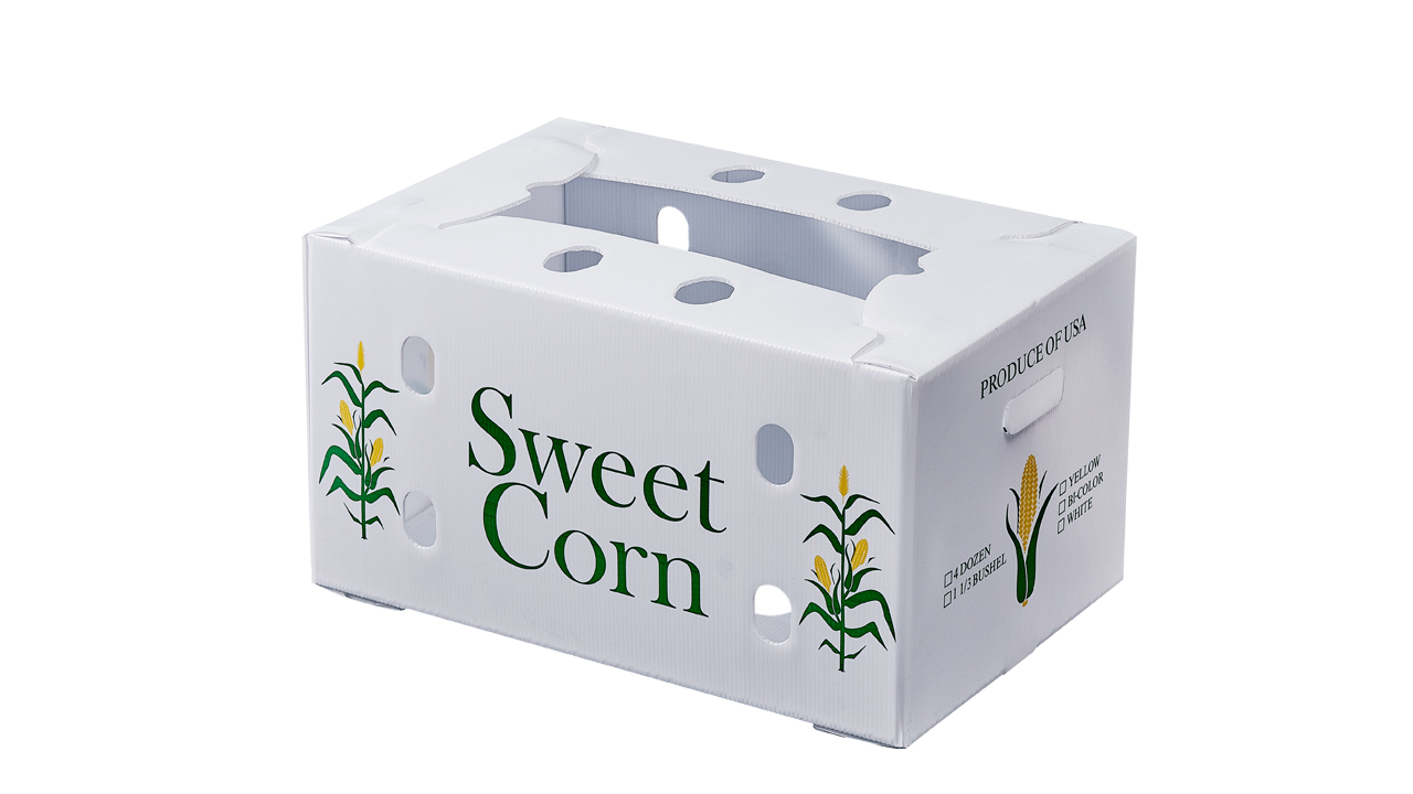 Agricultural-PP-Corrugated-Boxes