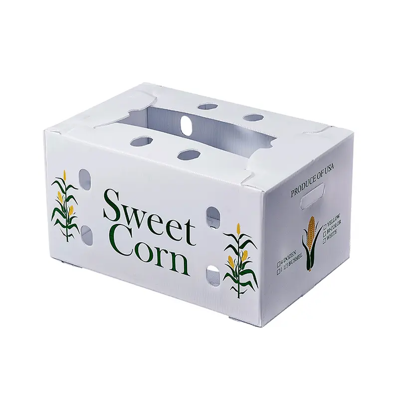 Corrugated Plastic Packaging Box