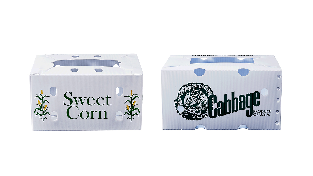 corrugated-plastic-boxes
