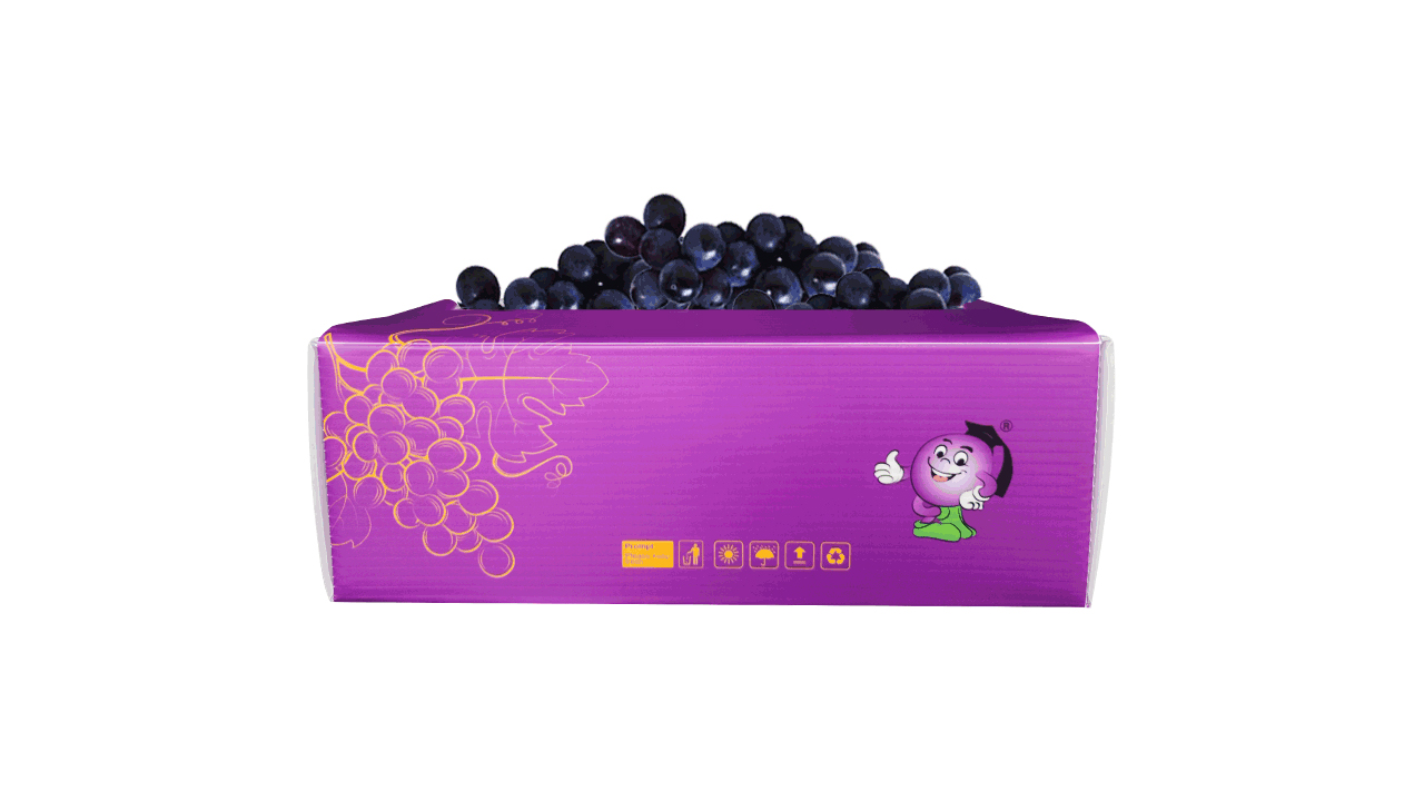 grape-plastic-corrugated-box