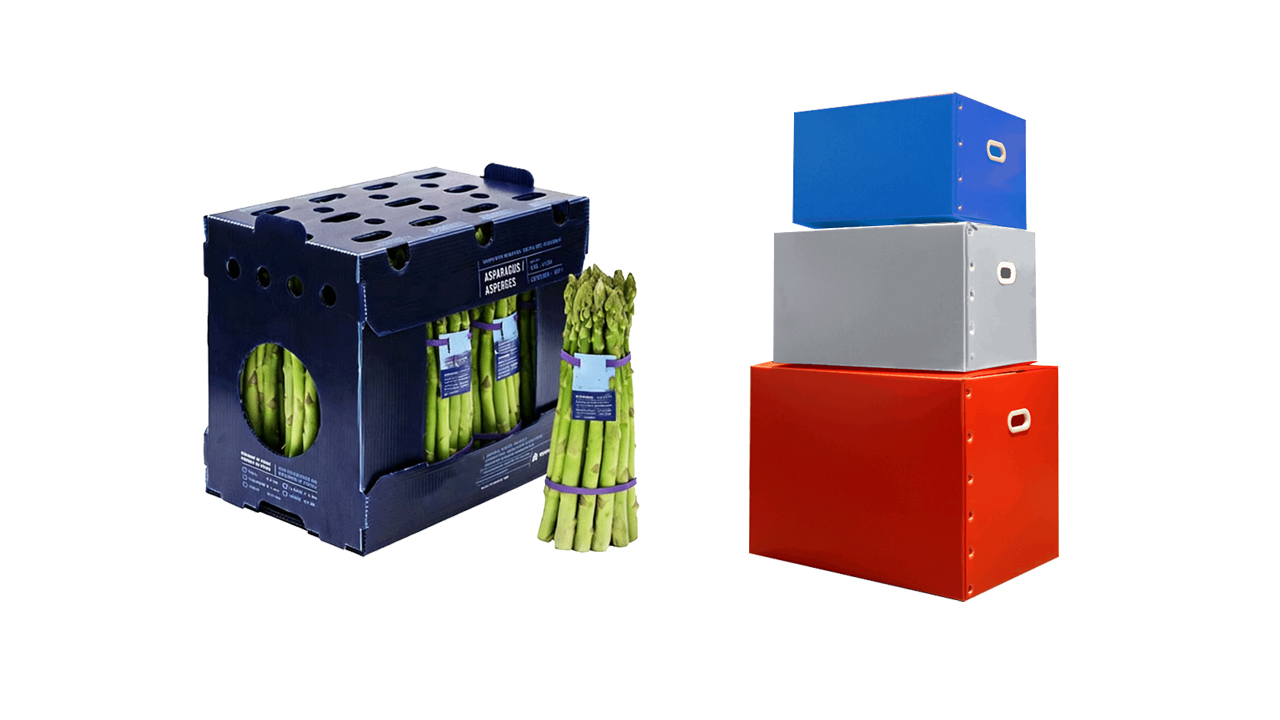 Corrugated-Plastic-Boxes